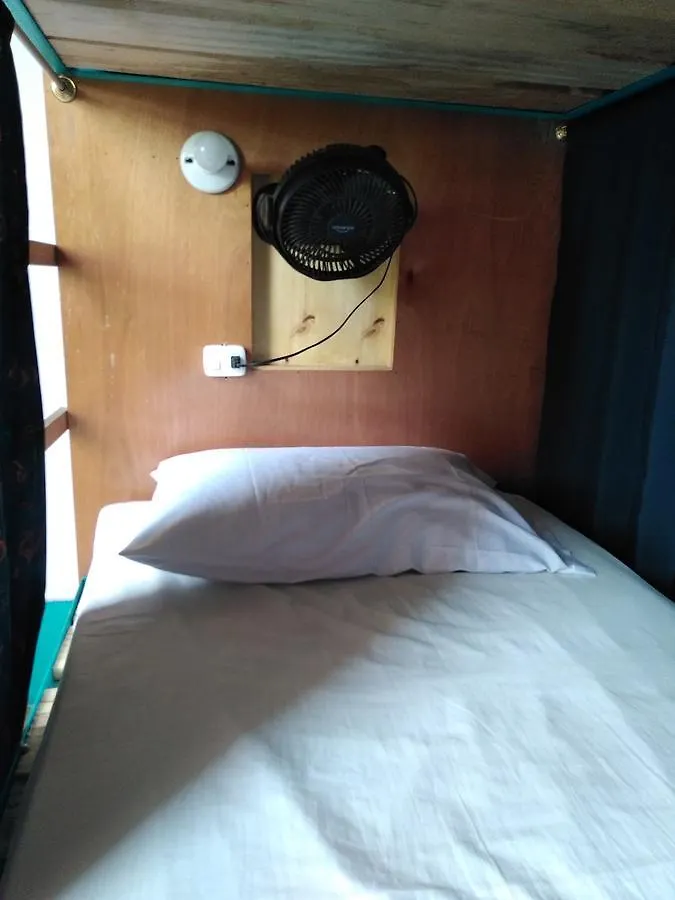 Arbore Hostel Santa Marta